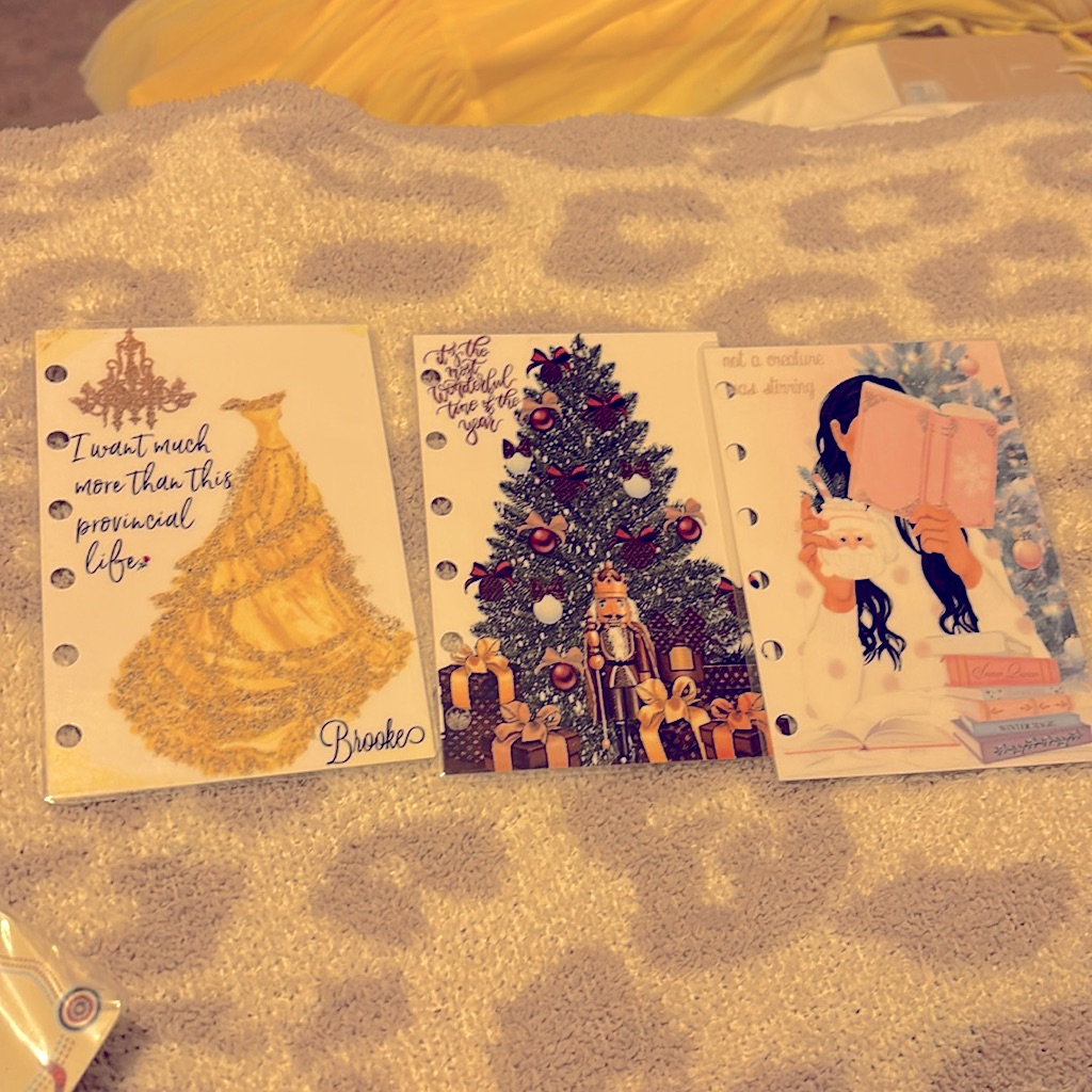 3 Mini Planner Inserts
